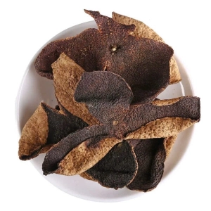 Tân Hội Trần Bì