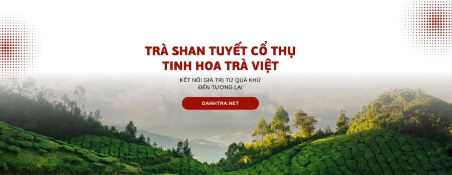 Slider Image 3
