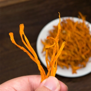 Đông trùng sấy khô 1 kí